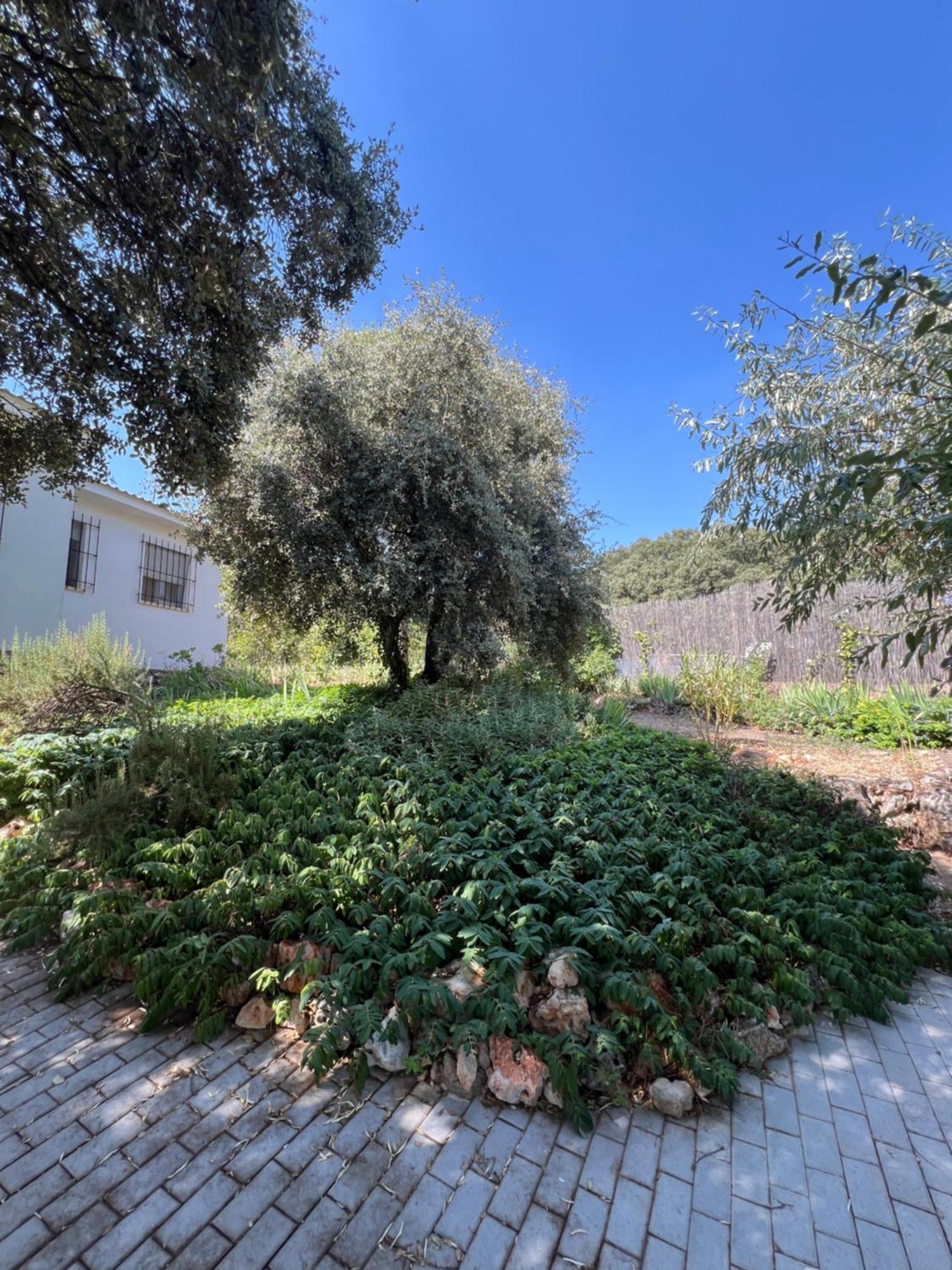 Vila Casa Indalo Hontoba Exteriér fotografie